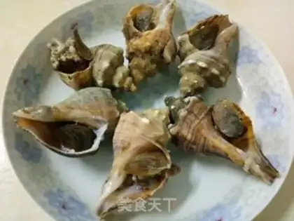 Make White burning conch step 3