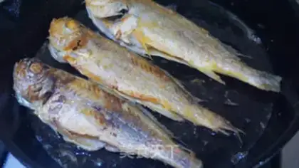 Make Frozen yellowfish step 4