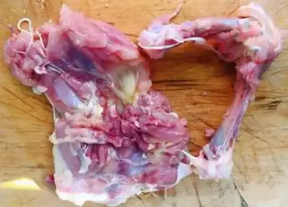 Make A chicken leg fork step 1