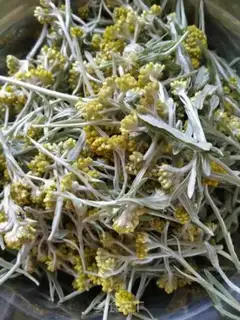 Make The rat grass step 0