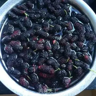 Make Tasty saliva step 1