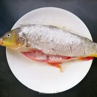Make Carp step 4