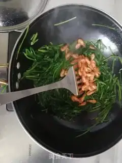 Make Shrimp step 5