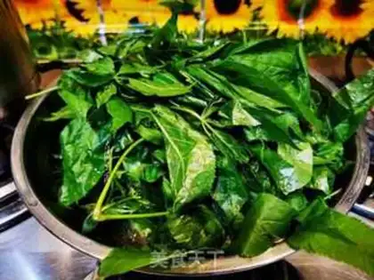 Make Five plus leaves step 0