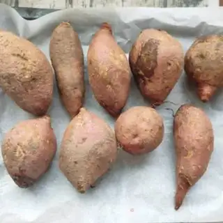 Make Roast melon step 1