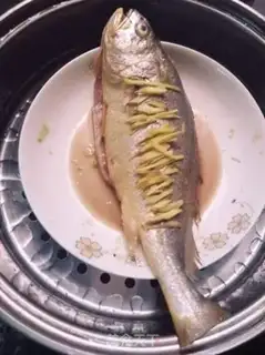 Make Vacuated yellowfish step 2