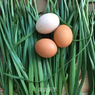 Make Eggs, shrimp, beetles step 0