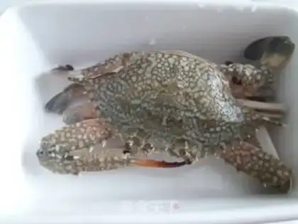 Make Crabs step 0