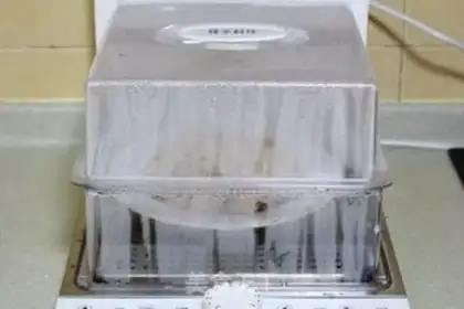 Make Dust ribs step 9