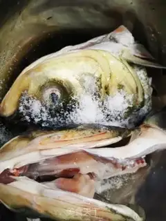 Make Pepper chopper head step 0