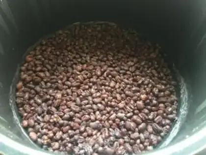 Make Homemade bean step 2