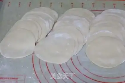 Make Beef pan sticker step 16