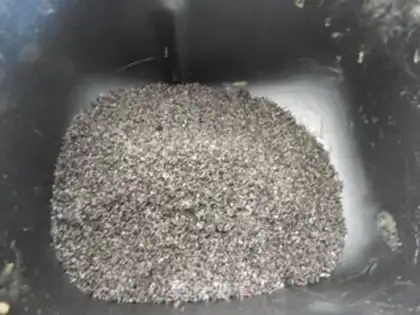 Make Black Sesame step 0