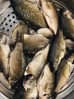 Make Squid soup step 0