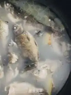 Make Squid soup step 3