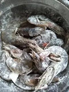 Make Precious shrimp step 3