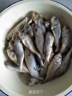 Make Cats eat fish step 0