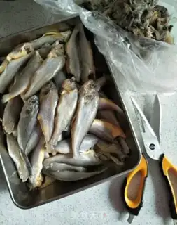 Make Cats eat fish step 1