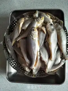 Make Cats eat fish step 2