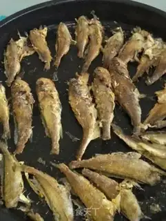Make Cats eat fish step 4