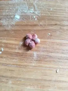 Make The little crabs step 10