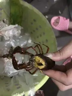 Make Vacuate the lobster step 2