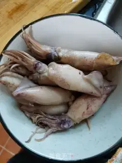 Make Squid step 0
