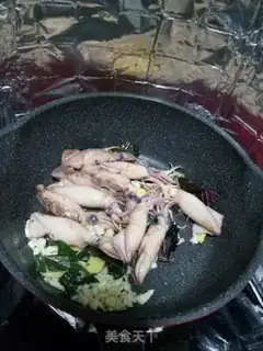 Make Squid step 4