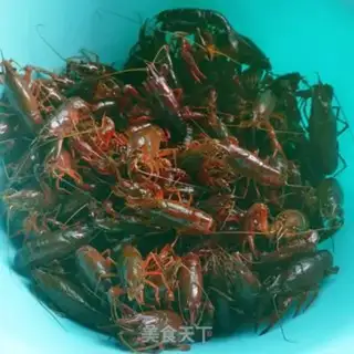 Make Spicy lobster step 0