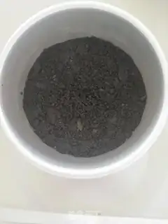 Make Orange yogurt mousse step 2