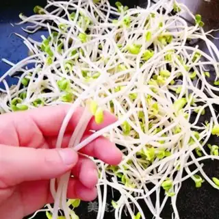 Make Sprouts step 0