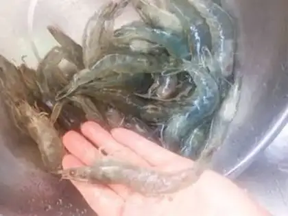 Make Drunk shrimp step 6