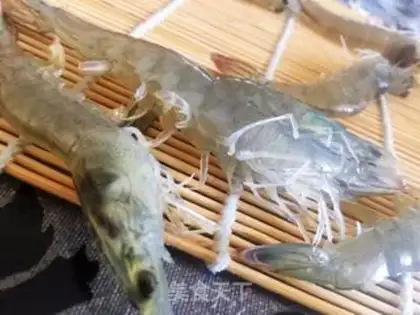 Make Drunk shrimp step 9