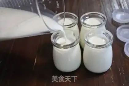 Make Homemade no yogurt step 5