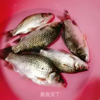 Make Squidfish step 0