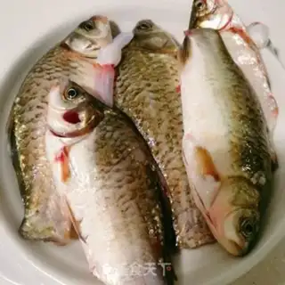 Make Squidfish step 1