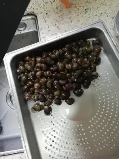 Make Spicy screws, lobster step 1