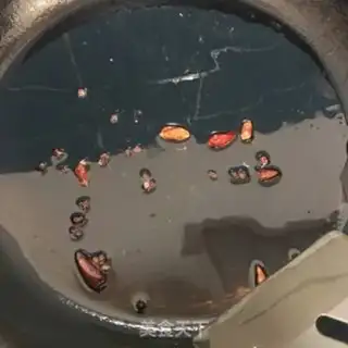 Make Frozen chicken gravy step 7