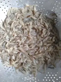 Make Shrimp step 0