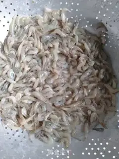 Make Shrimp step 1