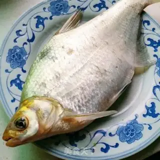 Make Steamfish step 0