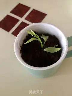 Make Cream ice cream step 5