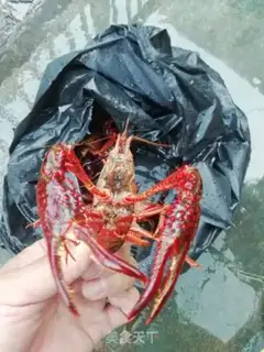 Make Spicy lobster step 0