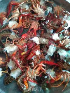 Make Scratch the crawfish step 0