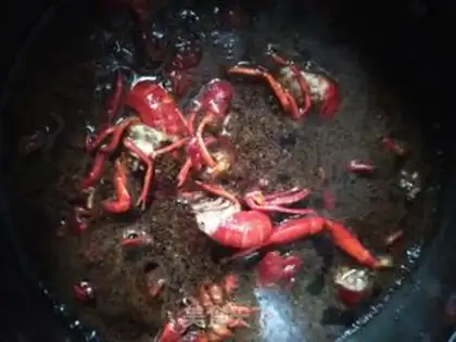 Make Scratch the crawfish step 6