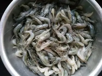 Make Shrimp step 0