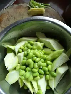Make A silk melon step 1
