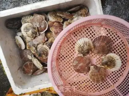 Make Garlic scallops step 0