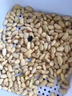 Make Soybeans step 1