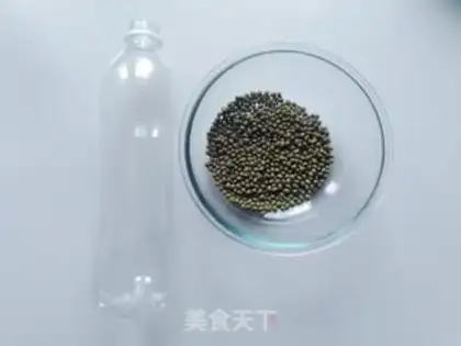 Make Green bean sprouts step 0
